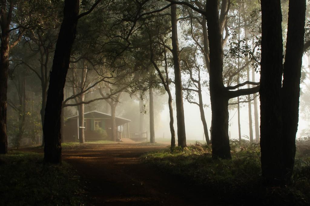 Balingup Heights Hilltop Forest Cottages ภายนอก รูปภาพ