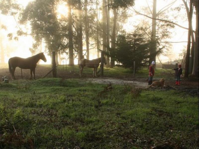 Balingup Heights Hilltop Forest Cottages ภายนอก รูปภาพ